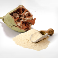 Compléments Alimentaires Certifiés : Extrait Pur de Baobab Naturel, Extrait de Plante, Poudre de Baobab de Fruit – Prix Compétitif