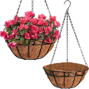 OEM/ODM Large Wall Mounted Flower Basket with Coco Liner