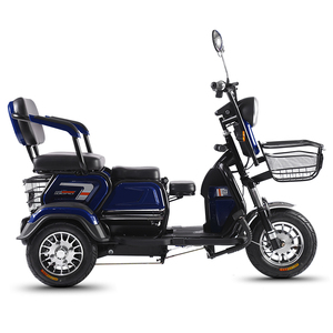 Offre Spéciale 600W 48V batterie 3 roues vélo électrique <span class=keywords><strong>Cargo</strong></span> <span class=keywords><strong>E</strong></span> vélo Tricycle électrique pour adultes - Product Image 4