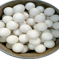 Billes en nylon résistantes à l'usure à faible coefficient de friction pour roulements, rouleaux de transfert et pièces de machines