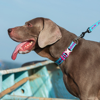 Truelove chaîne en acier inoxydable rétractable collier de chien Durable réglable sécurité lumière réfléchissante mode collier pour animaux de compagnie sans étranglement