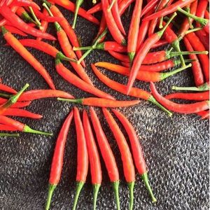 Pimienta Chaotian - Product Image 3