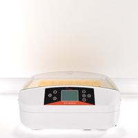 Incubateur d'Œufs 50 Positions EW-56S avec Plateau en Plastique et Testeur, pour Revente