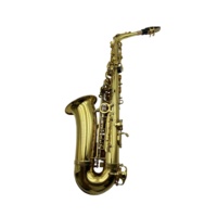 SEASOUND OEM High Quality Cheap Gold Alto Saxophone JYAS102