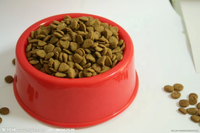 Extrusora de Doble Tornillo para Producción de Alimentos para Mascotas, Equipo Industrial de Alta Calidad para Fabricación de Croquetas Secas