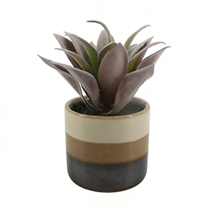 Pianta Artificiale di Agave con Vaso in Ceramica, Finta Agave Succulenta Realistica per Decorazione di Interni ed Esterni in Spazi Ristretti - Product Image 1