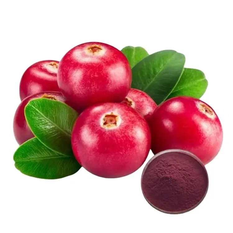 Lingonberry ekstrak antosianidin 1-25% ekstrak Lingonbeny Proanthocyanidins 1-60%