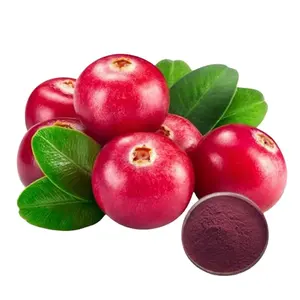 Lingonberry özü antosiyanidin 1-25% Lingonbeny özü proantosiyanidinler 1-60%