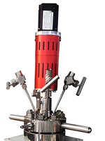 Precios de Reactores de Autoclave Químico con Mezclador de Microondas de Acero Inoxidable para Recipientes Industriales Pequeños de Alta Presión para Laboratorio