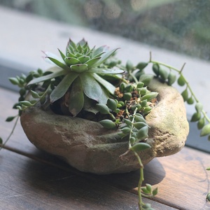Personnalité Creative Divers Styles Ciment Pierre Forme Micro-Paysage Succulentes Bonsaï Planteur Pots De Fleurs pour Jardin Déco - Product Image 1