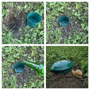 Piège à escargots en plastique vert pour jardin, cour arrière, agriculture – Outil répulsif antiparasitaire – Boîte de capture humaine pour le contrôle des limaces - Product Image 6