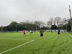 مصنع العشب الاصطناعي مجموعة التصرف كرة القدم الاصطناعية - Product Image 2