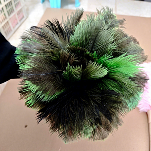 Plumeau en plumes d'autruche teintes <span class=keywords><strong>de</strong></span> haute qualité, directement <span class=keywords><strong>de</strong></span> l'usine, pour le nettoyage des meubles, des voitures et des équipements électriques. - Product Image 1