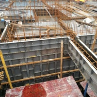 Le mur plat de coffrage en acier de conception moderne forme la solution totale pour des projets concrets de panneau de coffrage