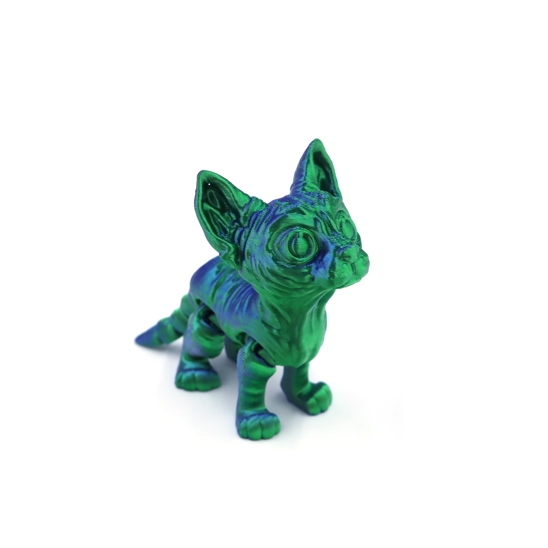 Sphynx cat - blue-green gradient