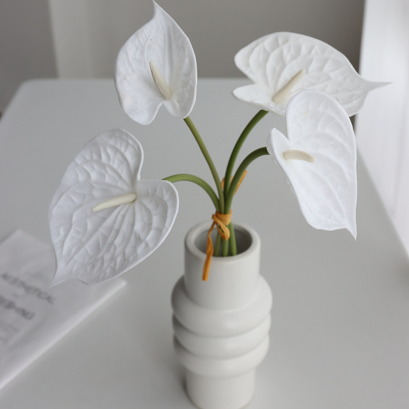 Anthurium Nunzia - Pure White Color PU Anthuriums for Events