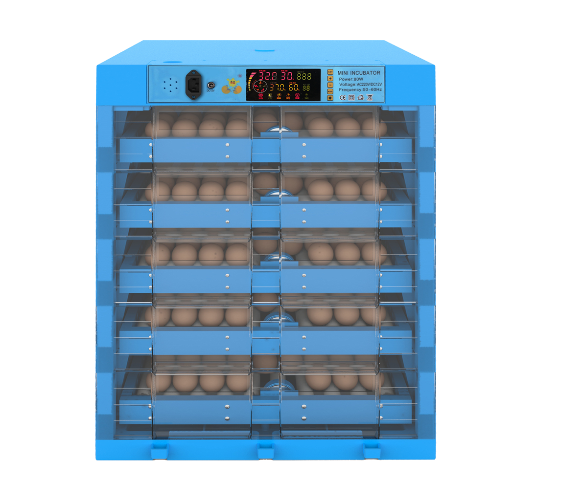 plastic incubator with 320 poultry eggs