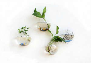 크리 에이 티브 벽걸이 형 꽃병 유리 어항 반원 투명 어항 수족관 미니 어항 - Product Image 5