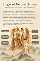 Boissons végétales naturelles stérilisées à faible teneur en gras à base de racine entière de bouleau de la montagne de Changbai, en bouteille de verre, en vrac, pour importateurs mondiaux