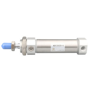 Cilindro Miniatura de Acero Inoxidable Airtac Msf25X25 U, Cilindro de Acción Simple No Estándar - Product Image 4
