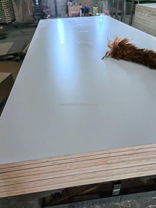 <span class=keywords><strong>Prix</strong></span> de la <span class=keywords><strong>feuille</strong></span> de contreplaqué <span class=keywords><strong>stratifié</strong></span> HPL <span class=keywords><strong>Formica</strong></span> blanc - Product Image 4