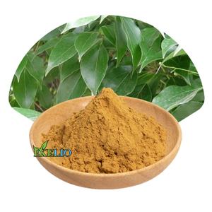 ผงสกัดจากเปลือกต้น <span class=keywords><strong>Sassafras</strong></span> ทำจาก10:1 4:1สมุนไพร - Product Image 1