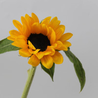 Bunga Matahari Potong Segar Grosir Helianthus Annuus untuk Buket Pernikahan Premium Pemasok Cina Rangkaian Bunga Batang Panjang