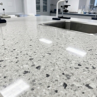 Dalles de terrazzo en pierre artificielle, couleur personnalisée, épaisseur élevée, résistantes à l'usure, pour sols de villas et d'hôtels