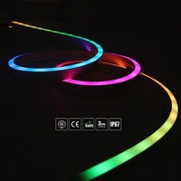 Lampu Strip LED Fleksibel Neon RGB 5050 IP67 PVC Silikon 12V/24V Panjang 10m Putih Hangat dengan Pengontrol Kontrol Suara 12mm