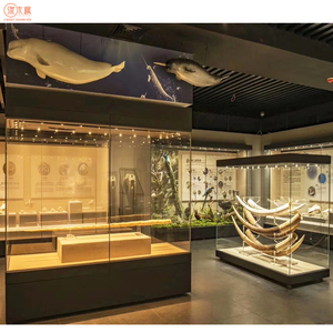 Vitrines de musée sans <span class=keywords><strong>lunette</strong></span> Fabricants Vitrines de musée en verre trempé anti-empreintes digitales personnalisées - Product Image 5