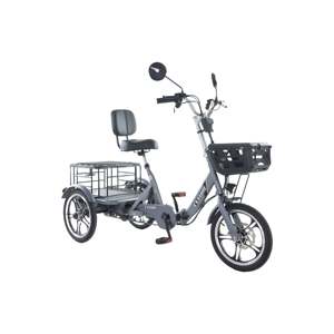 Tricycle électrique pliable à propulsion arrière 48V 350W, vitesse maximale 25 km/h, pneus de 16 pouces, avec corps en acier, option ouvert/fermé, pliable - Product Image 5