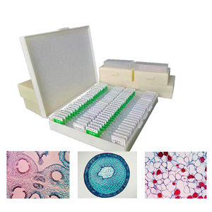 Juego de 100 Portaobjetos Preparados de Histología Humana Suministrados por la Fábrica, Portaobjetos de Microscopio Preparados de Histología Humana - Product Image 6