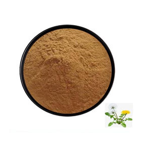 ISO sertifikalı organik karahindiba kökü özü tozu 4%-10% flavonoidler ab/abd pazarı doğrudan fabrika kaynağı - Product Image 1