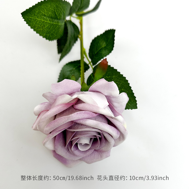 Light purple-white