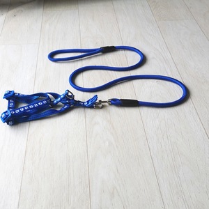 애완 동물 가죽 끈 개폐식 산책 고양이 개 고양이 하네스 및 가죽 끈 세트 가죽 끈 고양이 - Product Image 3