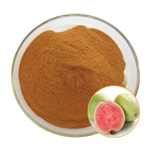 グアバエキス粉末10:1/20:1/30:1比率水溶性粉末スプレー乾燥エキス - Product Image 1