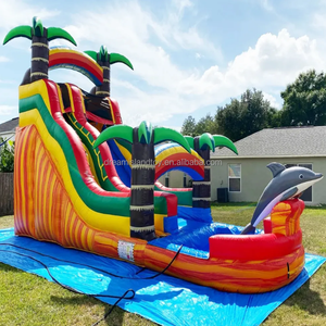 Jeux de glissades aquatiques gonflables Dolphin, équipement de parc de trampoline, glissade d'évasion, aire de jeux gonflable, château gonflable pour enfants - Product Image 1