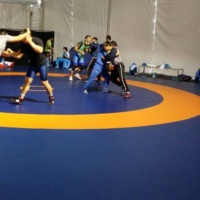 Tapis en mousse XPE haute densité personnalisé pour la gymnastique, la danse, le tatami, la lutte, le MMA, le BJJ, la boxe - Tapis d'entraînement résistant à l'eau