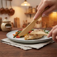Vaisselle en bambou biodégradable de haute qualité à prix compétitif, fabriquée à partir de matériaux de haute montagne, idéale pour les pique-niques ou les barbecues