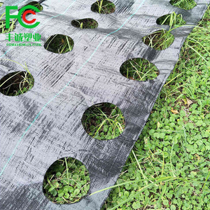 Tissu <span class=keywords><strong>de</strong></span> paysage agricole noir <span class=keywords><strong>aiguille</strong></span> perforée mauvaises herbes barrière tissu tapis <span class=keywords><strong>de</strong></span> lutte contre les mauvaises herbes rouleau résistant à l'herbe - Product Image 4