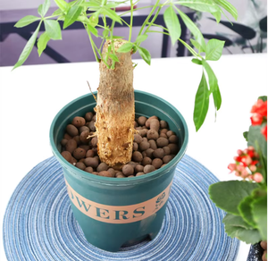 Leca bóng đỏ Hydro đất sét sỏi cho soilless văn hóa dinh dưỡng Leca bóng cây với silica cát đất sét bóng phong cách thiết kế đơn giản - Product Image 2