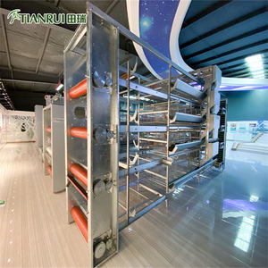 Tasarım komple kümes hayvanları tavuk çiftlik kafesi <span class=keywords><strong>Broiler</strong></span> ve damızlık için - Product Image 6