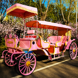 Chariot de Mariage Classique de Haute Qualité, Modèle Cendrillon, pour Visites Touristiques, 4 Roues, Offre Spéciale, Transport à Prix Réduit - Product Image 4
