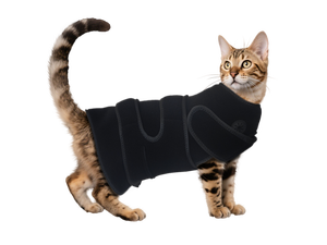 Facile <span class=keywords><strong>operazione</strong></span> cane & gatto terapia da PDT terapia panno leggero per animali domestici sollievo dal dolore - Product Image 5