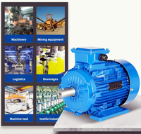Moteur électrique asynchrone triphasé à courant alternatif à haute efficacité IE3 3KW 100KW 380V 400V 50Hz, protection IP55, 100%