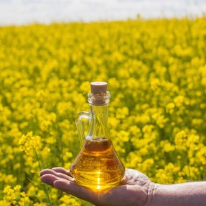Aceite de Semillas de Mostaza Puro a Granel de Alta Calidad, Certificado por Richtek ISO9001, en Venta con Precio Competitivo para Cocinar - Product Image 5