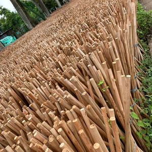 Balai en bois avec manche en bois et tête en PVC, écologique, facile à nettoyer, longueur 70-120 cm, diamètre 2,2 cm, pour le nettoyage domestique et des toilettes - Product Image 1