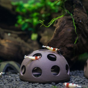 Grotte pour crevettes en céramique, 2 pièces, de haute qualité, vente en gros, bassin d'élevage pleco - Product Image 1