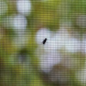 Customized Fiberglass <strong>Window</strong> <strong>Screens</strong> Mosquito Net Sand-Proof Anti Insect Net for <strong>Window</strong> <strong>Screens</strong> High Quality Fiberglass <strong>Window</strong> - Product Image 2