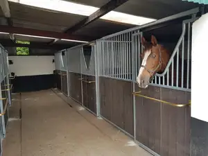 Horse Stable Feeders Stables Horse Shed Horse Stable Stall Fronts